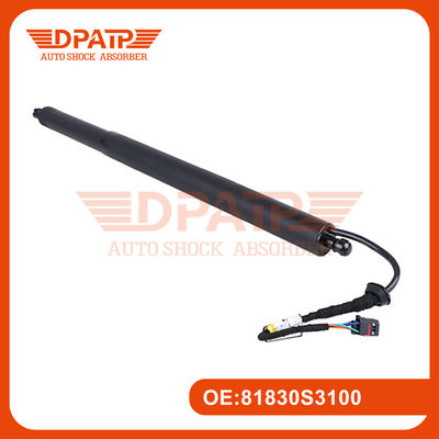 81830S3100 Heckschranke Elektrolift Hyundai Santa Fe 81840S3100 Autolift Tor