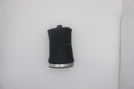 OE Standard Luftfederungen für BMW X5 E53 hinten links 37121095579 37121095580
