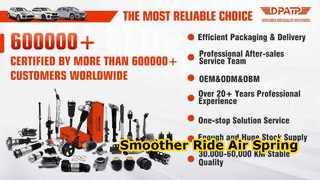 2133280100 2133280200 Aftermarket-Luftfeder für Benz W253 W213