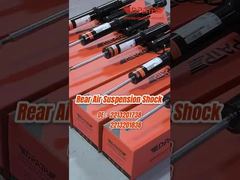 2213201738 2213201838 vordere Stoßdämpfer für Benz W221